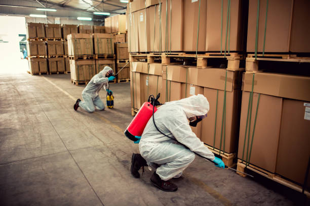 Best Termite Control Services  in Solon, OH