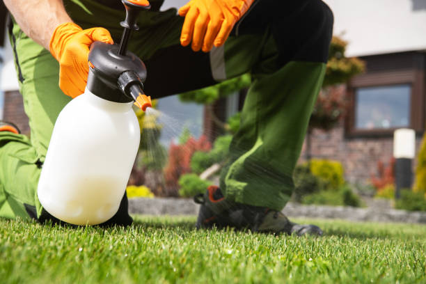 Best Residential Pest Control  in Solon, OH