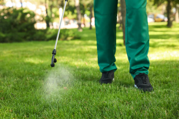 Wasp Removal Services in Solon, OH