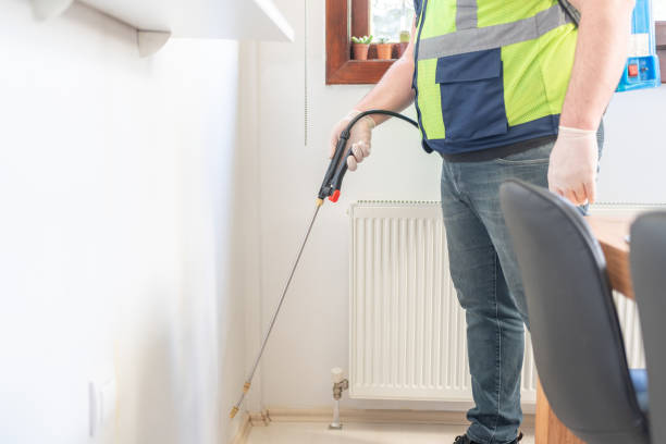 Flea Control Services in Solon, OH