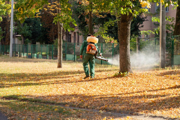 Best Wasp Removal Services  in Solon, OH