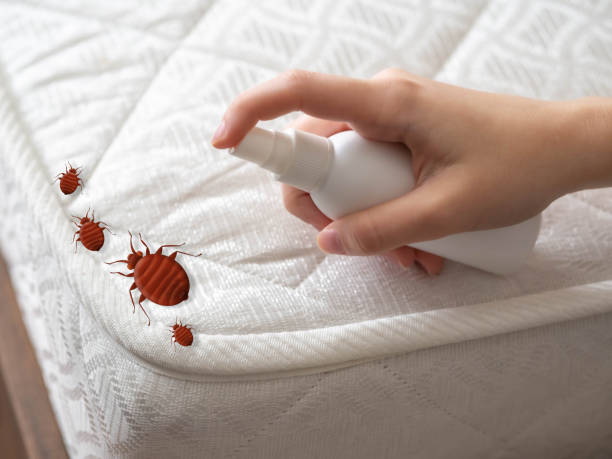 Best Mosquito Control Services  in Solon, OH